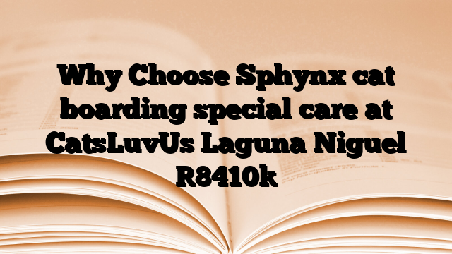 Why Choose Sphynx cat boarding special care at CatsLuvUs Laguna Niguel