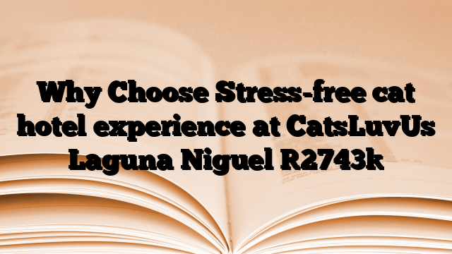 Why Choose Stress-free cat hotel experience at CatsLuvUs Laguna Niguel