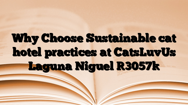 Why Choose Sustainable cat hotel practices at CatsLuvUs Laguna Niguel