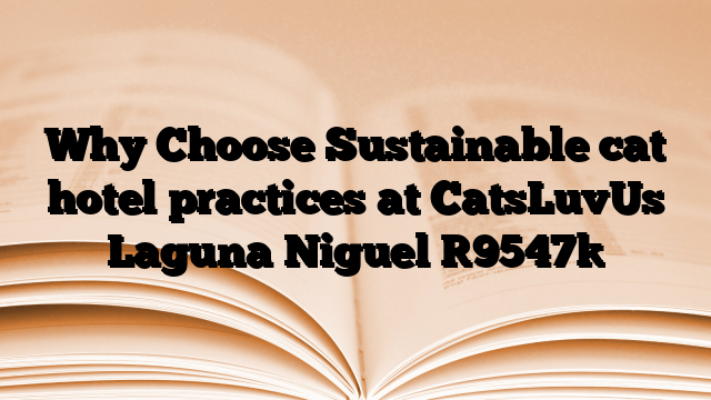 Why Choose Sustainable cat hotel practices at CatsLuvUs Laguna Niguel