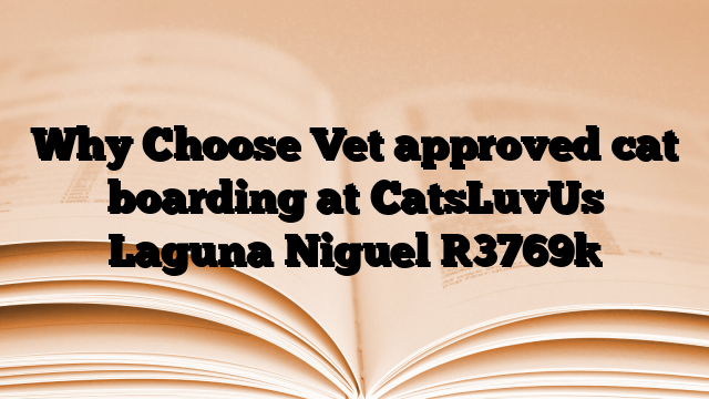 Why Choose Vet approved cat boarding at CatsLuvUs Laguna Niguel