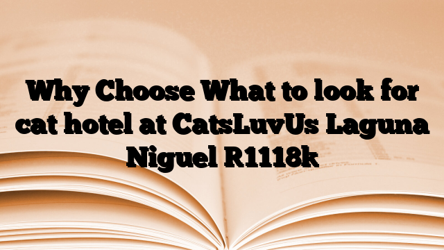 Why Choose What to look for cat hotel at CatsLuvUs Laguna Niguel