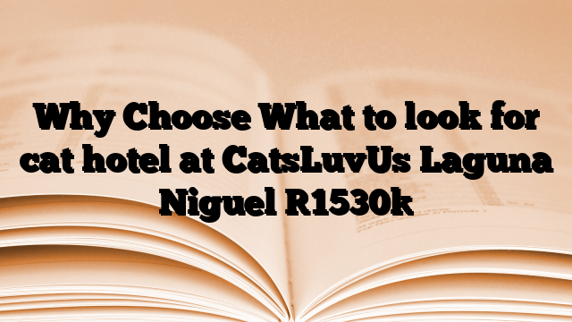 Why Choose What to look for cat hotel at CatsLuvUs Laguna Niguel