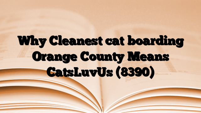 Why Cleanest cat boarding Orange County Means CatsLuvUs