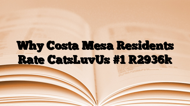 Why Costa Mesa Residents Rate CatsLuvUs #1