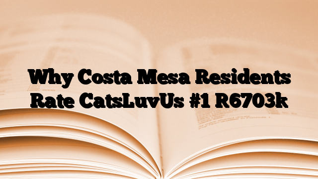 Why Costa Mesa Residents Rate CatsLuvUs #1