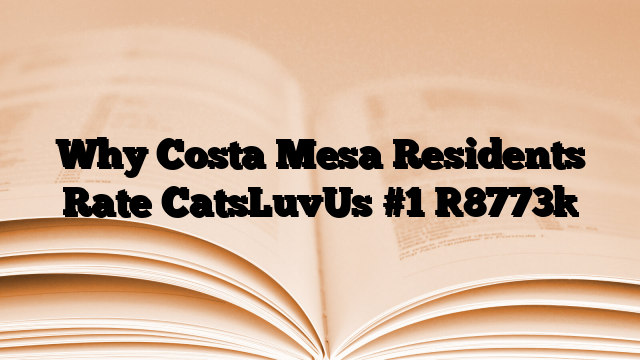 Why Costa Mesa Residents Rate CatsLuvUs #1