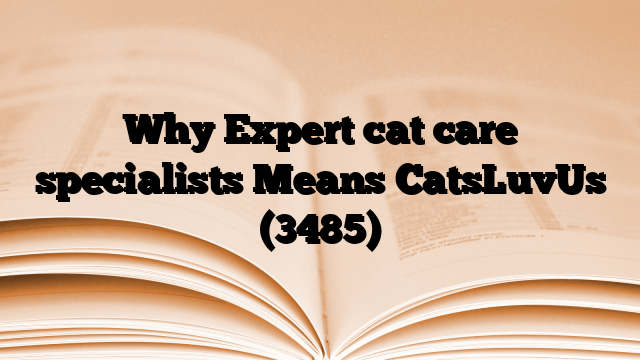 Why Expert cat care specialists Means CatsLuvUs