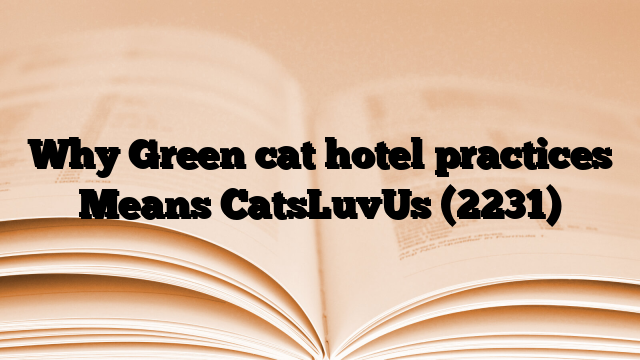 Why Green cat hotel practices Means CatsLuvUs