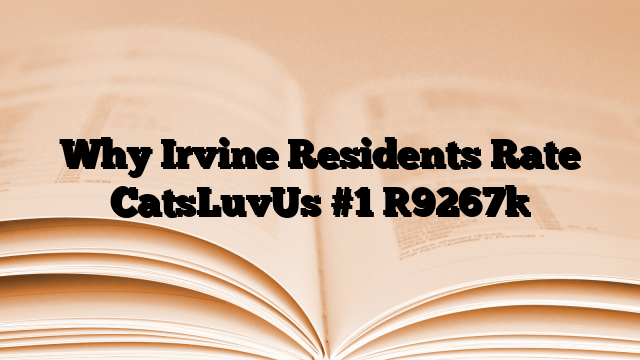 Why Irvine Residents Rate CatsLuvUs #1