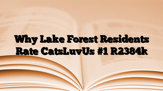 Why Lake Forest Residents Rate CatsLuvUs #1