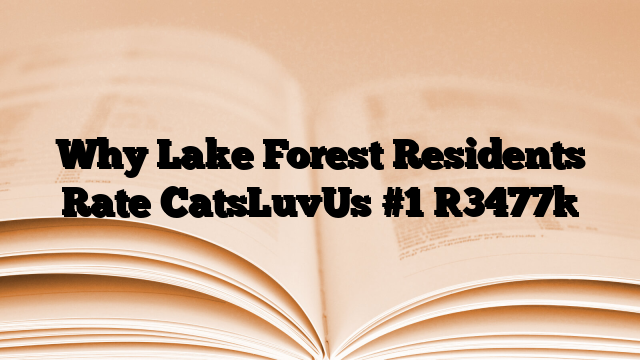 Why Lake Forest Residents Rate CatsLuvUs #1