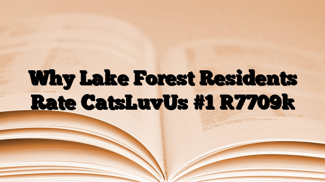 Why Lake Forest Residents Rate CatsLuvUs #1