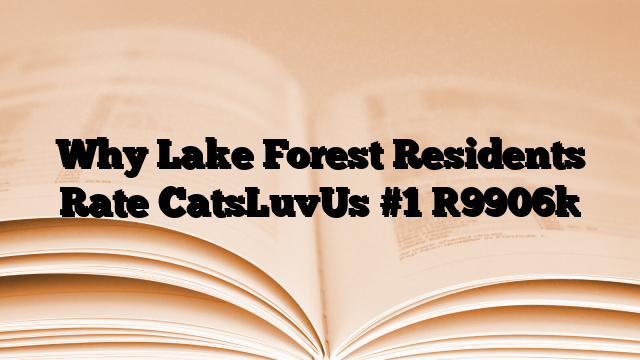 Why Lake Forest Residents Rate CatsLuvUs #1