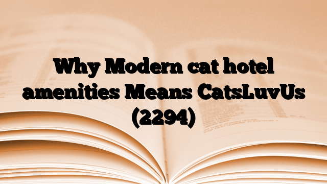 Why Modern cat hotel amenities Means CatsLuvUs