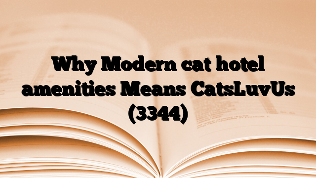 Why Modern cat hotel amenities Means CatsLuvUs