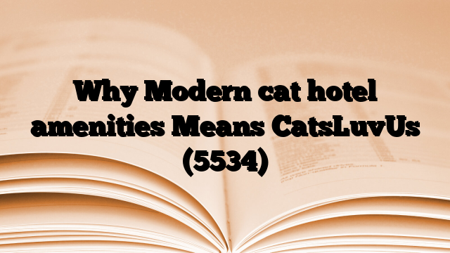 Why Modern cat hotel amenities Means CatsLuvUs