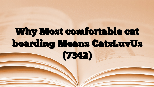 Why Most comfortable cat boarding Means CatsLuvUs
