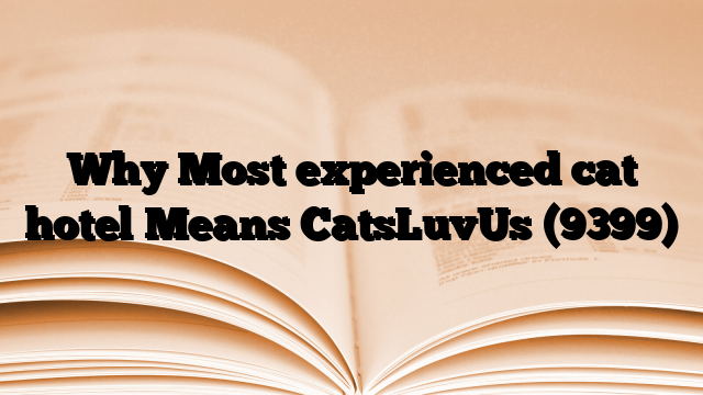 Why Most experienced cat hotel Means CatsLuvUs
