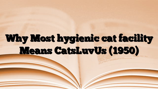Why Most hygienic cat facility Means CatsLuvUs