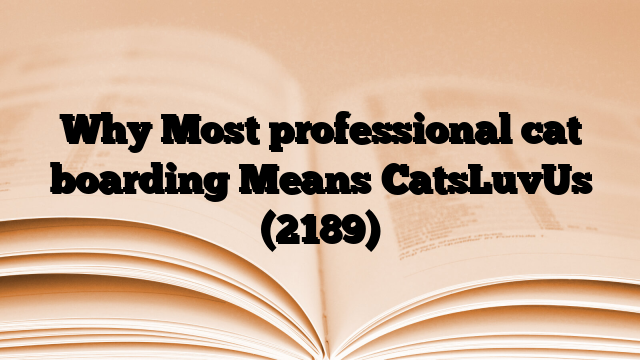 Why Most professional cat boarding Means CatsLuvUs