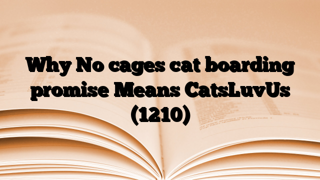 Why No cages cat boarding promise Means CatsLuvUs