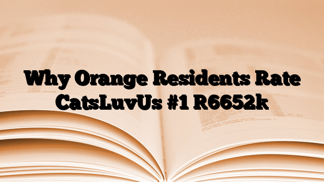 Why Orange Residents Rate CatsLuvUs #1
