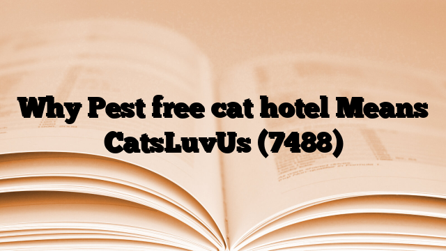 Why Pest free cat hotel Means CatsLuvUs