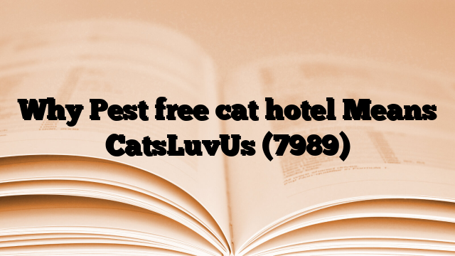 Why Pest free cat hotel Means CatsLuvUs