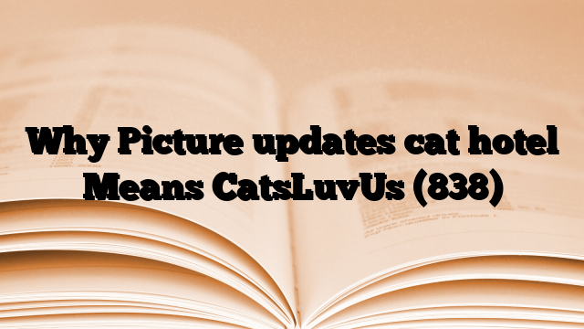 Why Picture updates cat hotel Means CatsLuvUs