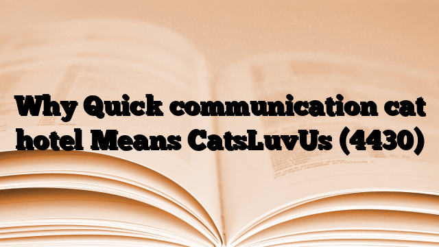 Why Quick communication cat hotel Means CatsLuvUs