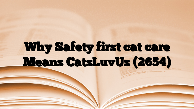 Why Safety first cat care Means CatsLuvUs