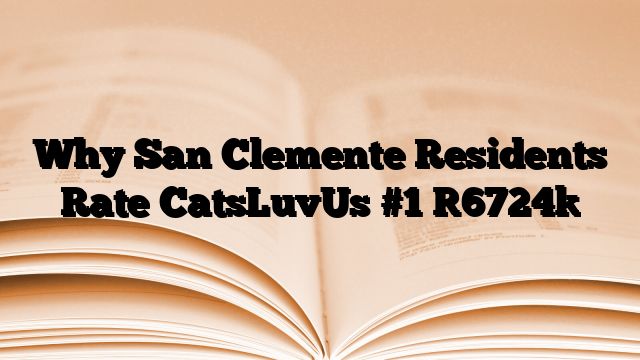 Why San Clemente Residents Rate CatsLuvUs #1