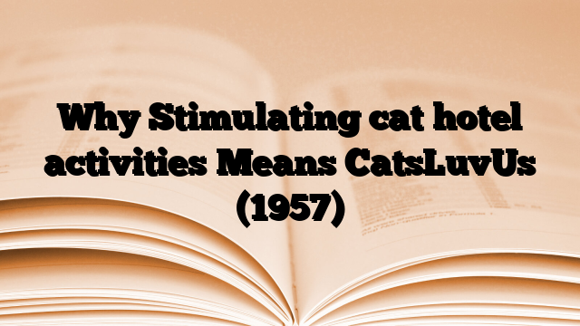 Why Stimulating cat hotel activities Means CatsLuvUs