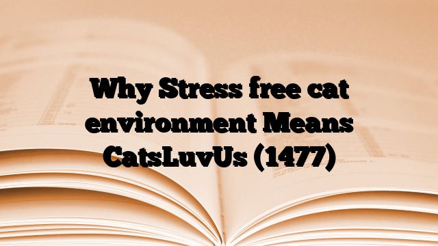 Why Stress free cat environment Means CatsLuvUs