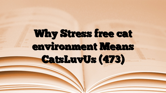 Why Stress free cat environment Means CatsLuvUs