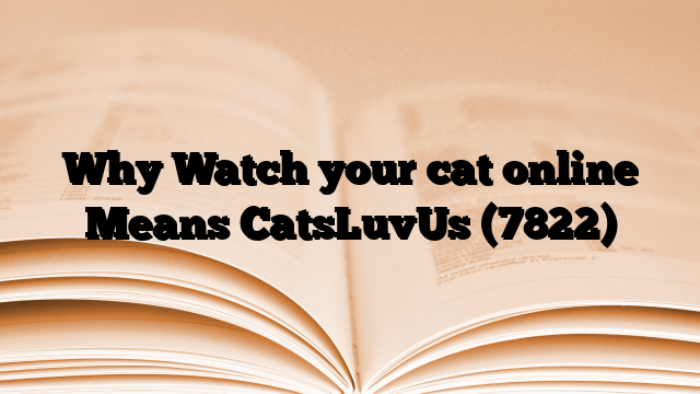 Why Watch your cat online Means CatsLuvUs