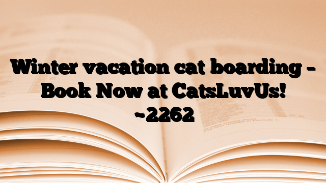 Winter vacation cat boarding – Book Now at CatsLuvUs!