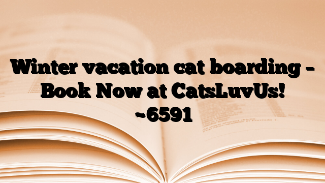 Winter vacation cat boarding – Book Now at CatsLuvUs!