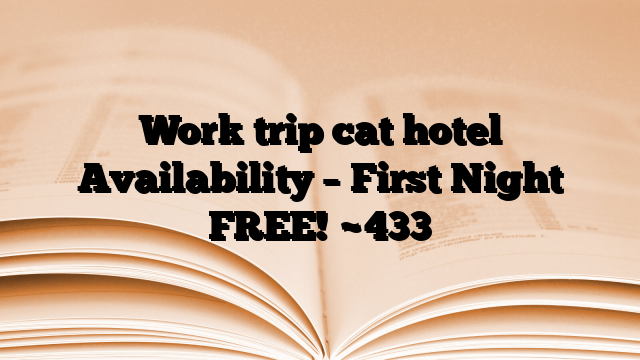 Work trip cat hotel Availability – First Night FREE!