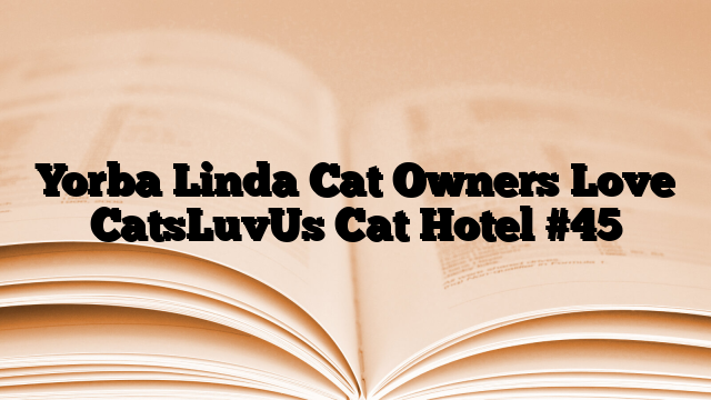 Yorba Linda Cat Owners Love CatsLuvUs Cat Hotel