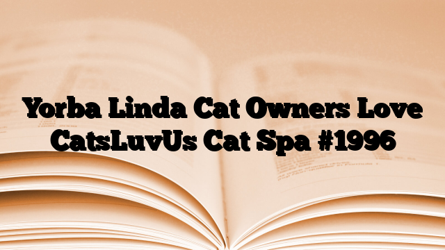 Yorba Linda Cat Owners Love CatsLuvUs Cat Spa
