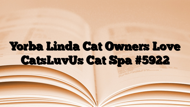 Yorba Linda Cat Owners Love CatsLuvUs Cat Spa