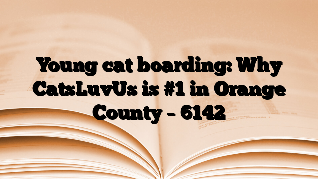 Young cat boarding: Why CatsLuvUs is #1 in Orange County