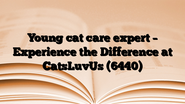 Young cat care expert – Experience the Difference at CatsLuvUs