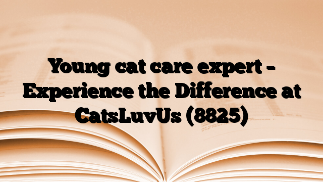 Young cat care expert – Experience the Difference at CatsLuvUs