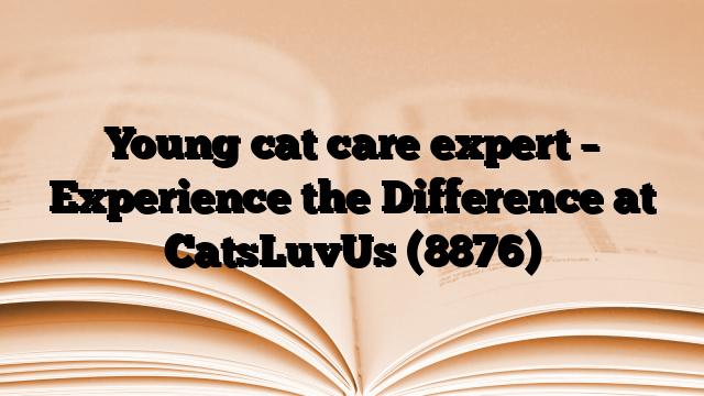 Young cat care expert – Experience the Difference at CatsLuvUs