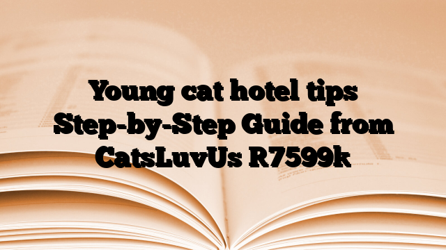 Young cat hotel tips Step-by-Step Guide from CatsLuvUs