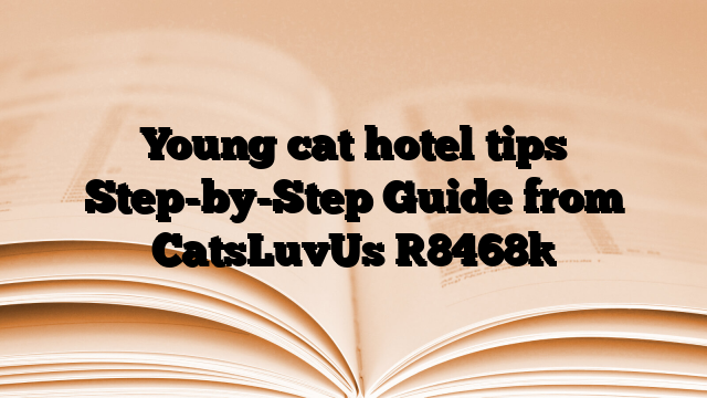 Young cat hotel tips Step-by-Step Guide from CatsLuvUs