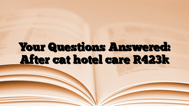 Your Questions Answered: After cat hotel care